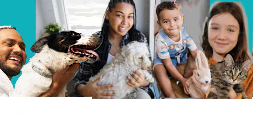 Change BC to pet-friendly residential tenancies to permit pets to live with their loved ones