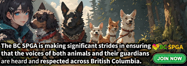 The BC SPGA is making significant strides in ensuring that the voices of both animals and their guardians are heard and respected across British Columbia.