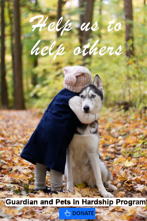 BC Resources For Animal Guardians