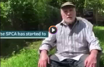 click to play video