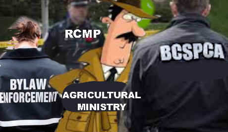 The RCMP, BC SPCA, Municipal animal bylaw officers and the BC Ministry of Agriculture police people with animals.