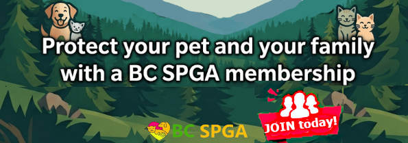 Join BC SPGA today!