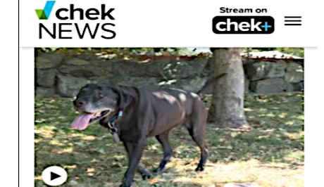 BC SPGA Pet Bonus and Pet Tax Credits