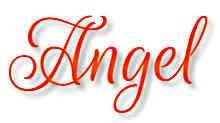 An angel brings the spirit of love for all good to fruition to families with pets in need