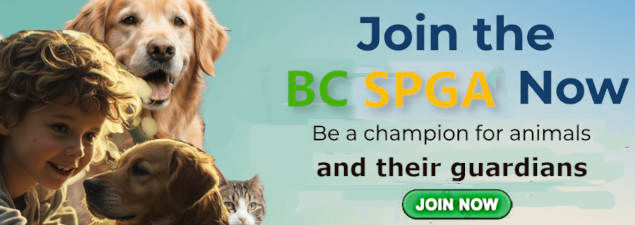 Join BC SPGA today!