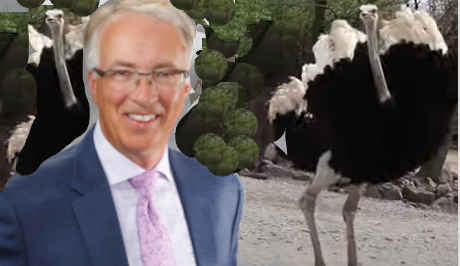 BC Conservative Leader John Rustad steps up to the plate for ostriches survival