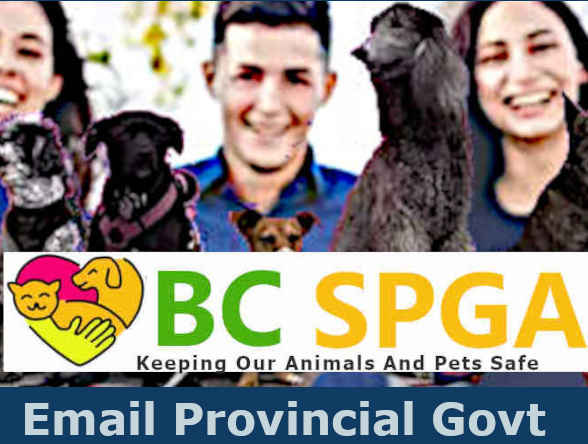 BC SPGA Campaign for an independent Task Force to investigate 
								BC SPCA Policing Operations, Policies and Actions